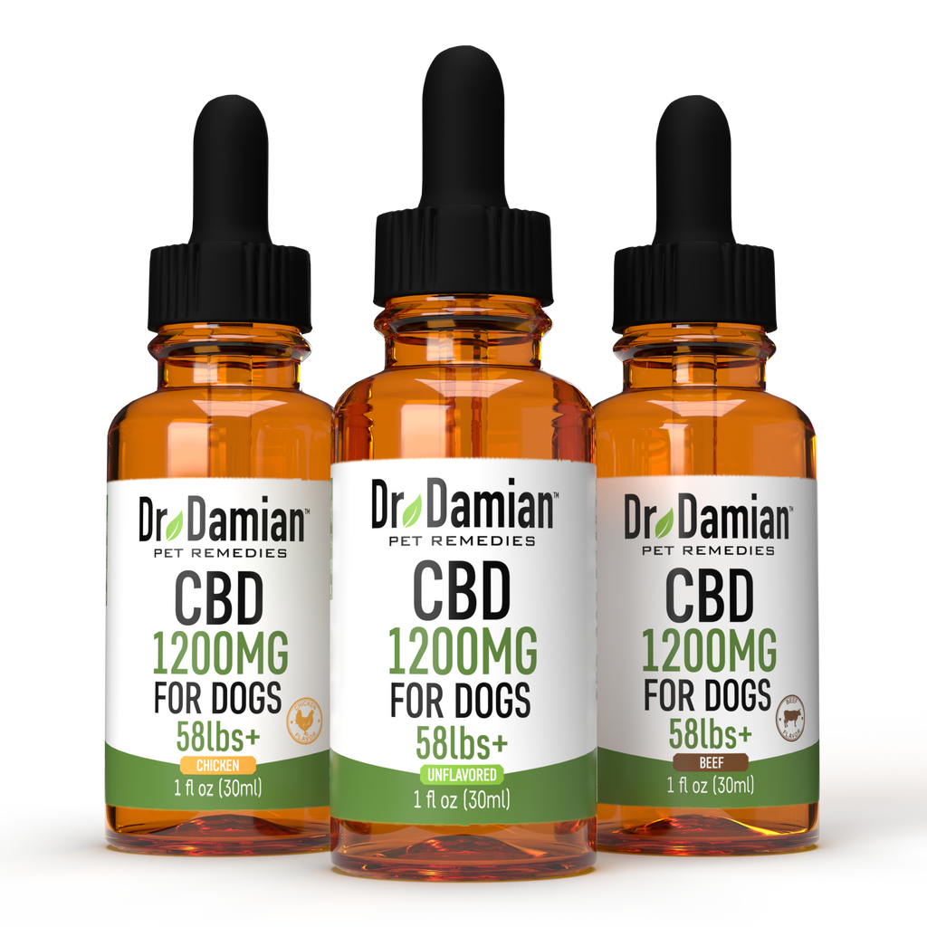 Dr Damian Oil Dropper - 1200mg