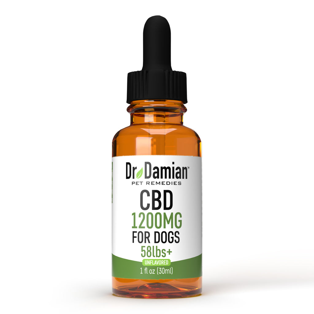 Dr Damian Oil Dropper - 1200mg