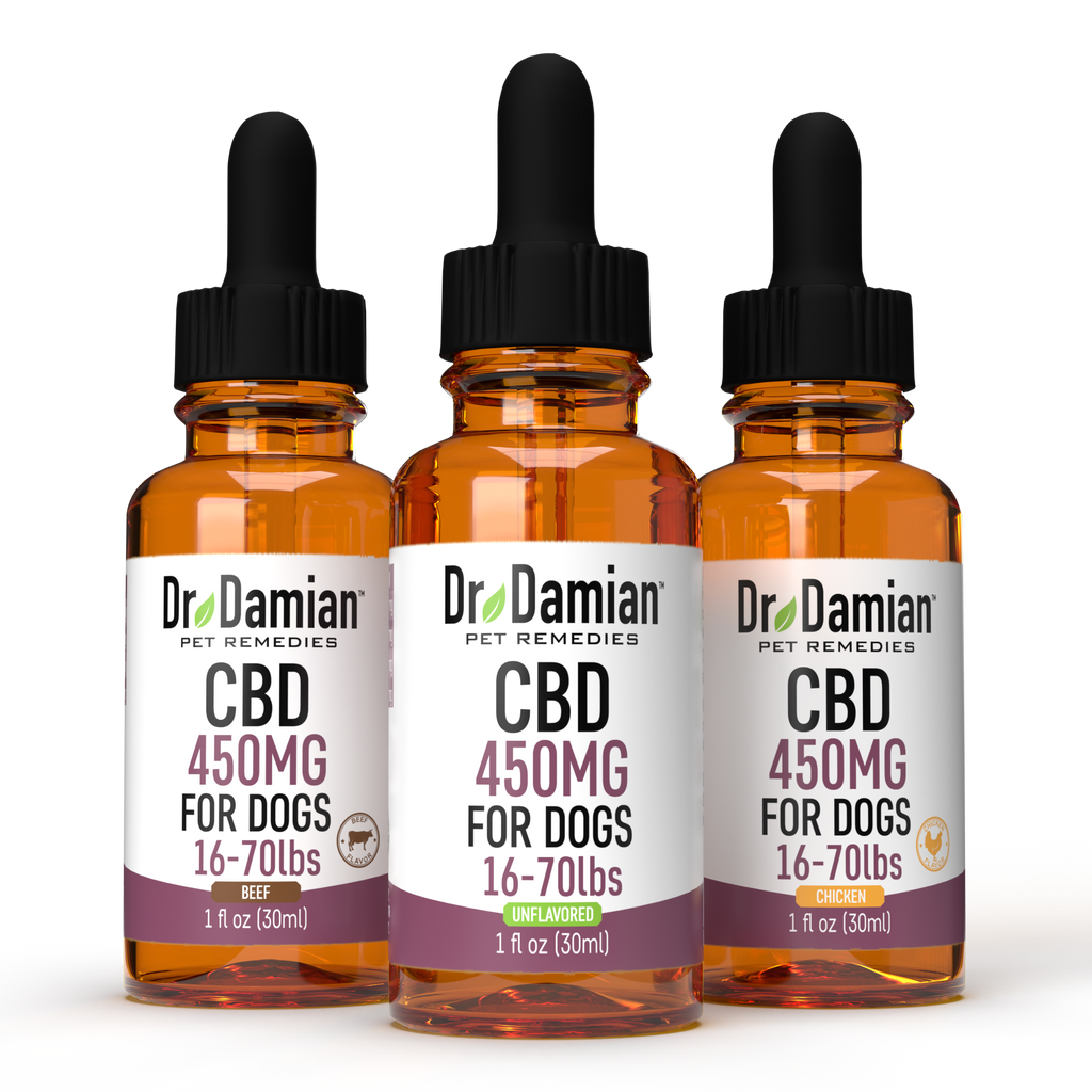 Dr Damian Oil Dropper - 450mg